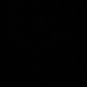 Meet your Posher, Annabelle